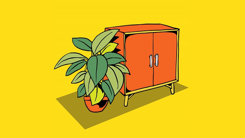 illustration-closet-with-plant-beside-it