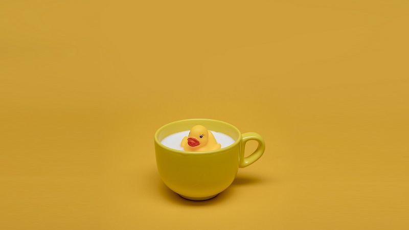 yellow rubber duck