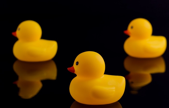 Why Do Programmers Have Rubber Ducks?