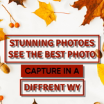 ArtWordShareImage.png