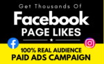 Run-a-facebook-ad-campaign-to-grow-your-page-likes-by-Bijooy52-Fiverr.png