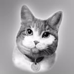 cat - digital pencil drawing.jpg