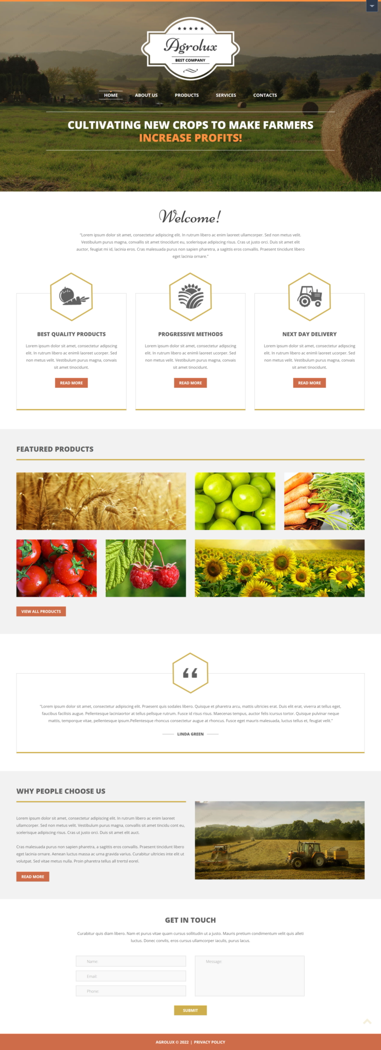 screencapture-demo-templatemonster-demo-51341-html-2022-09-22-18_13_46.png