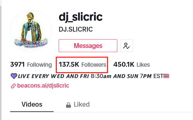 DJ-SLICRIC-dj_slicric-TikTok.png