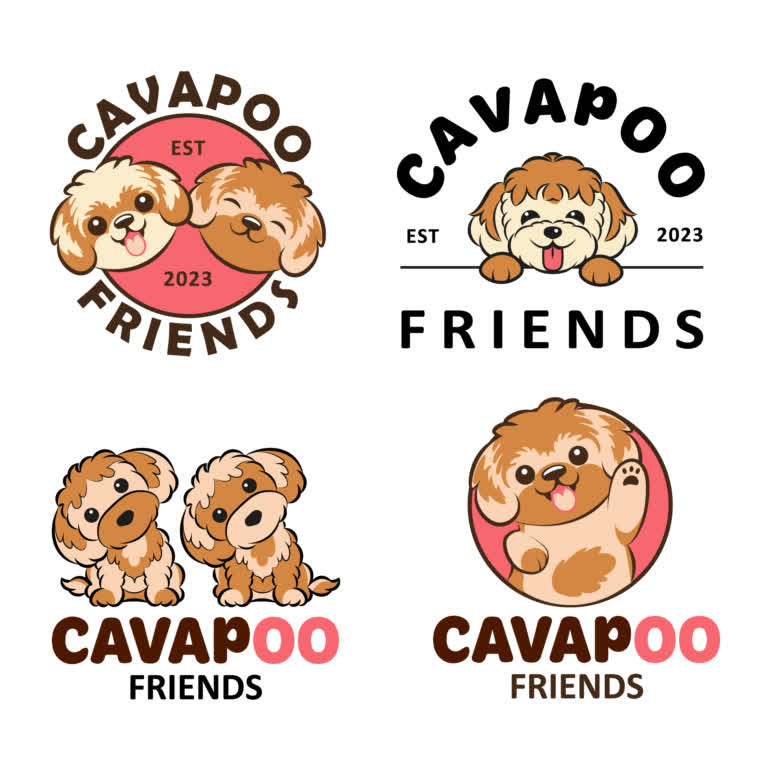 Cavapoo.jpg