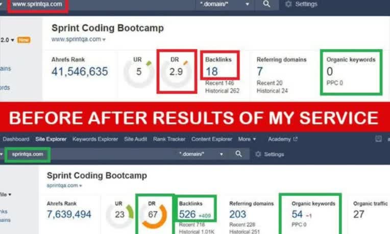 SEO Expert On page SEO Off page SEO Expert backlinks expert.jpg